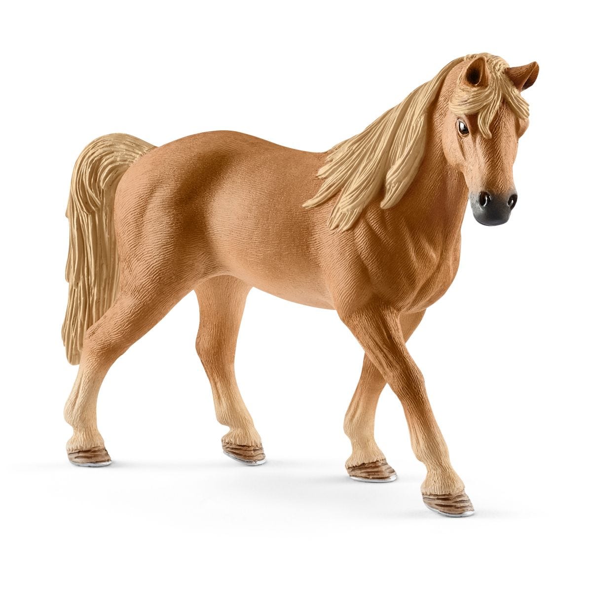Tennessee Walker merrie