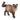 Ragdoll kat