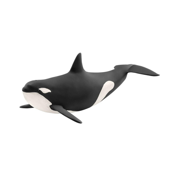 シベリア シヴェリアsivelia toy Killer Whale 14807 WILD LIFE | schleich