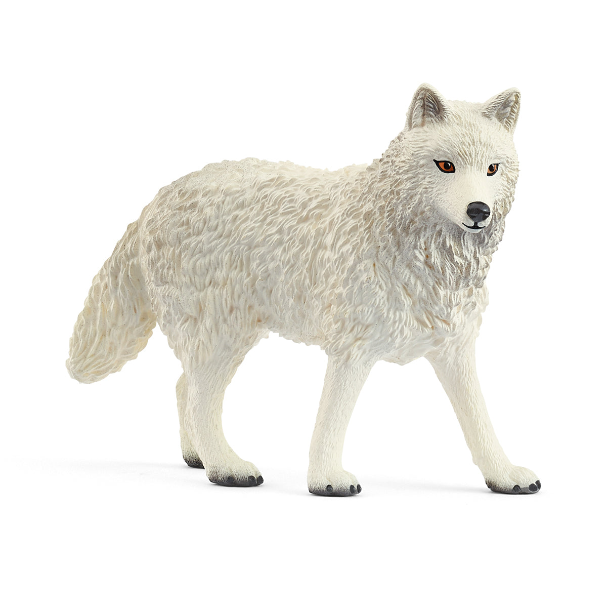 Arctic Wolf