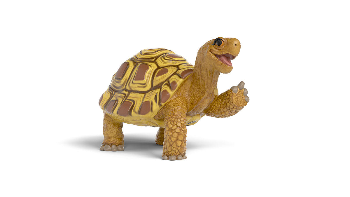 Henrietta de Schildpad