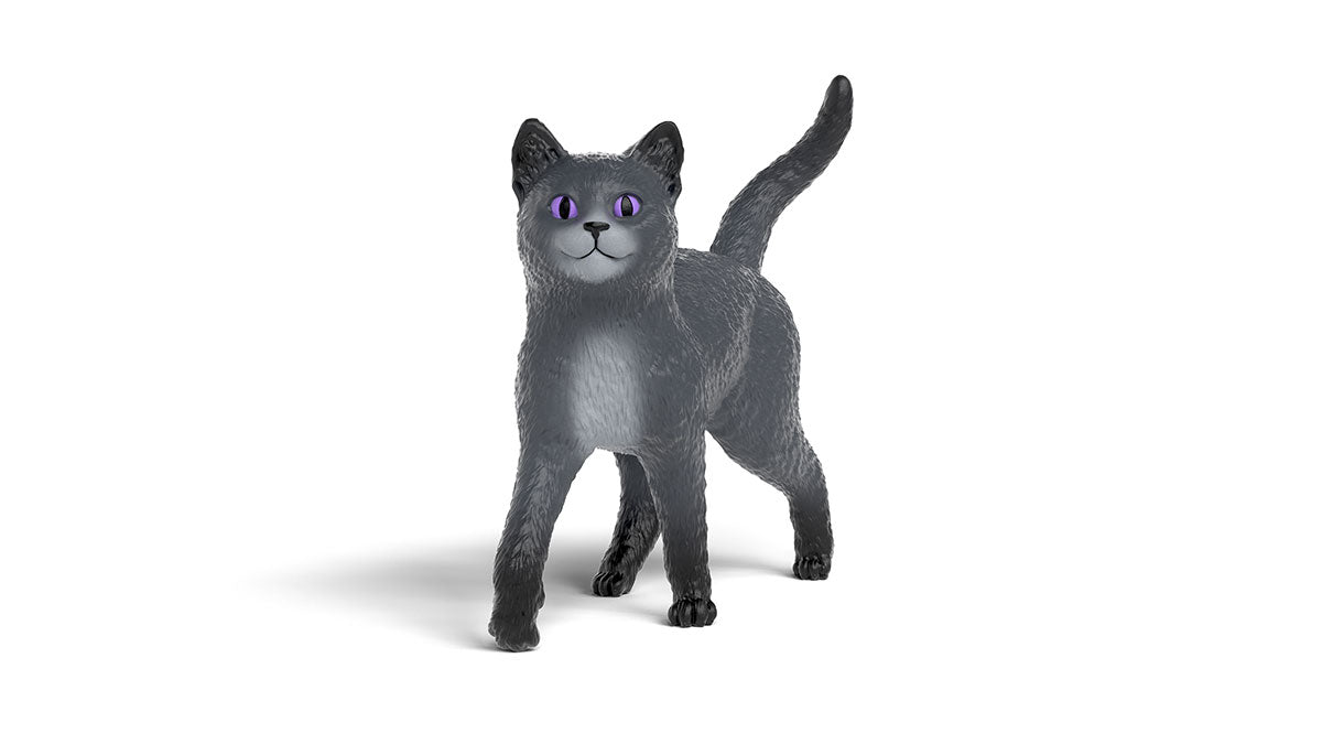 Karajan de Kat 