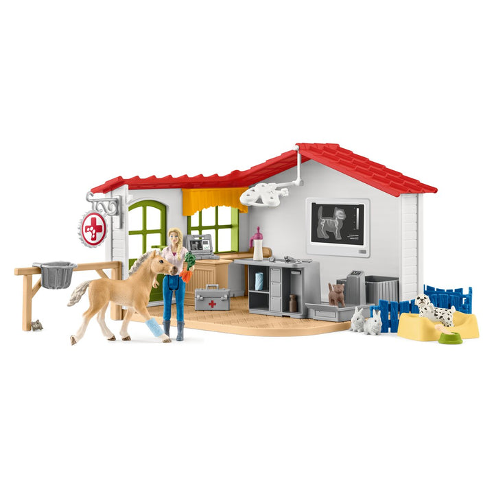 Dierenartspraktijk met huisdieren
