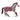 Trakehner merrie concours