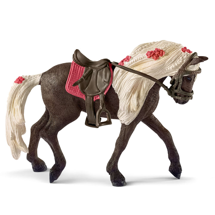 Rocky Mountain Horse merrie paardenshow