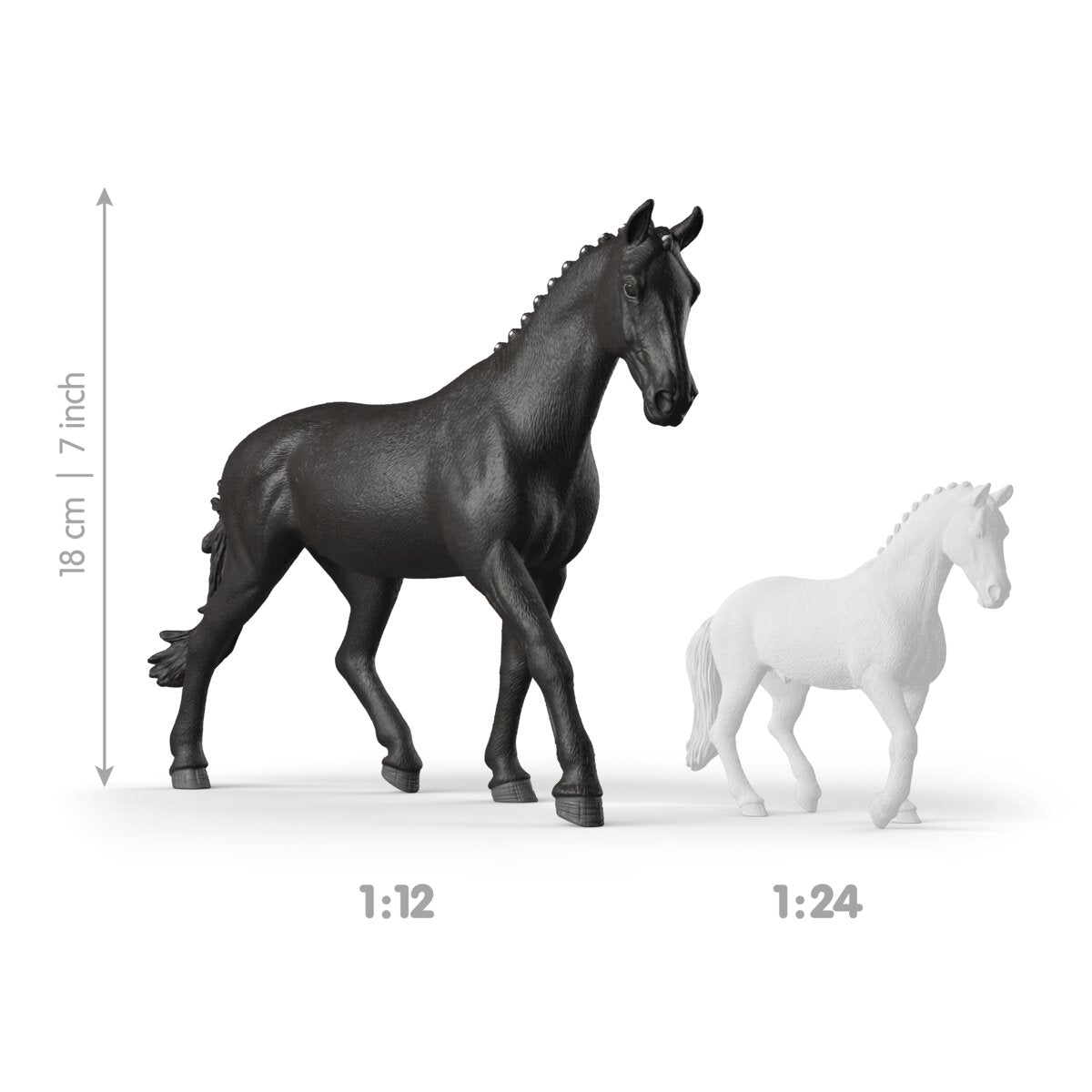 Sonata, Trakehner Mare 1:12