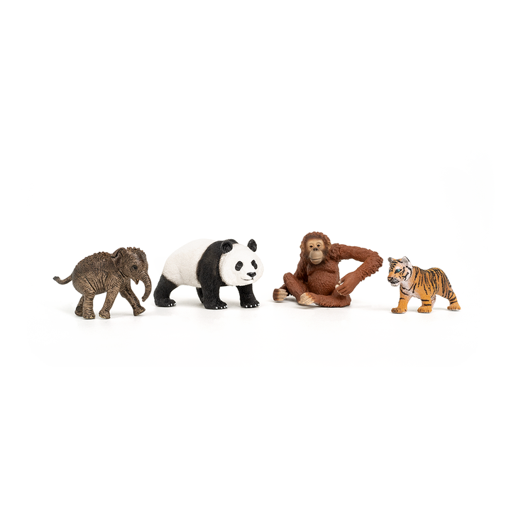 Wildlife "Asia" starter set