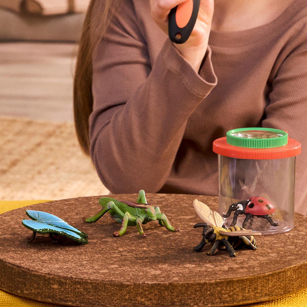 Insecten ontdekkingsset